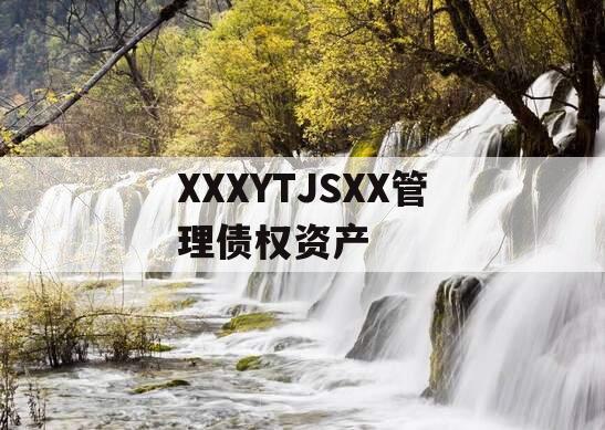 XXXYTJSXX管理债权资产