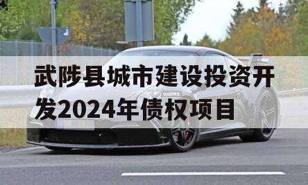 武陟县城市建设投资开发2024年债权项目