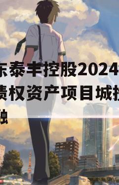 山东泰丰控股2024年债权资产项目城投债定融