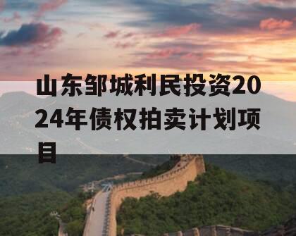 山东邹城利民投资2024年债权拍卖计划项目