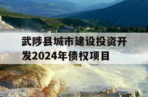 武陟县城市建设投资开发2024年债权项目