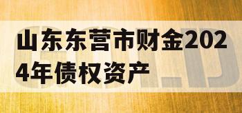 山东东营市财金2024年债权资产