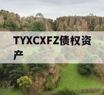 TYXCXFZ债权资产