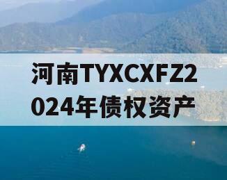 河南TYXCXFZ2024年债权资产