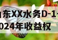 山东XX水务D-1号2024年收益权