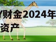 DY财金2024年债权资产