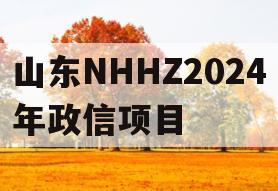 山东NHHZ2024年政信项目