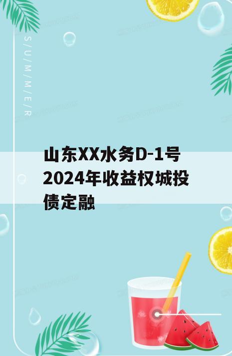 山东XX水务D-1号2024年收益权城投债定融