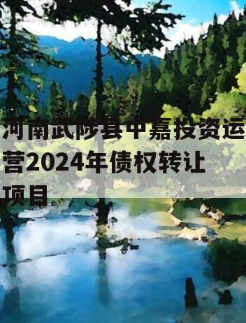 河南武陟县中嘉投资运营2024年债权转让项目