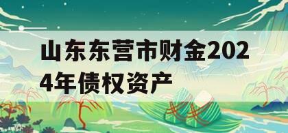 山东东营市财金2024年债权资产