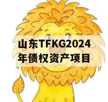 山东TFKG2024年债权资产项目