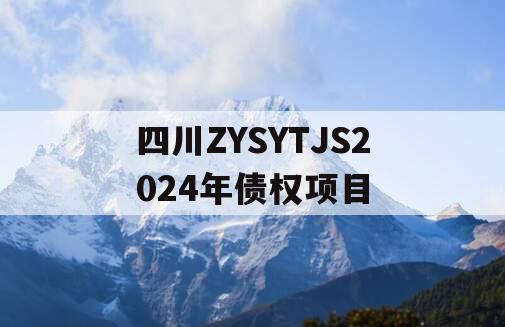 四川ZYSYTJS2024年债权项目