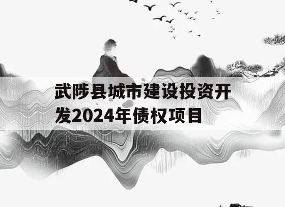 武陟县城市建设投资开发2024年债权项目