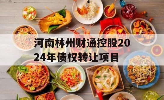 河南林州财通控股2024年债权转让项目