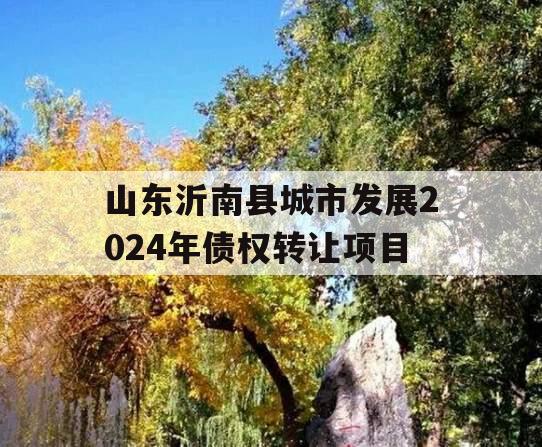 山东沂南县城市发展2024年债权转让项目