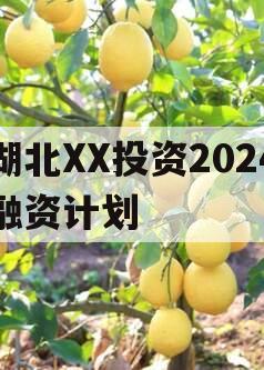 湖北XX投资2024融资计划