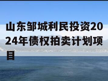 山东邹城利民投资2024年债权拍卖计划项目