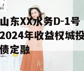 山东XX水务D-1号2024年收益权城投债定融