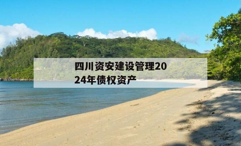 四川资安建设管理2024年债权资产