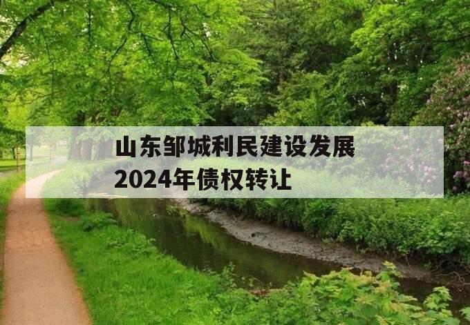 山东邹城利民建设发展2024年债权转让