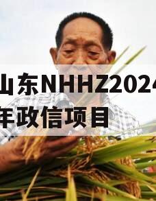 山东NHHZ2024年政信项目