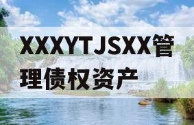 XXXYTJSXX管理债权资产