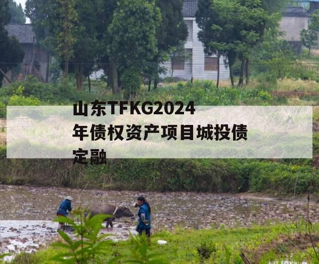 山东TFKG2024年债权资产项目城投债定融