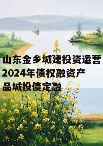 山东金乡城建投资运营2024年债权融资产品城投债定融