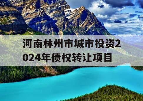 河南林州市城市投资2024年债权转让项目