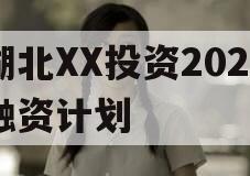 湖北XX投资2024融资计划