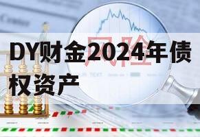 DY财金2024年债权资产