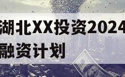 湖北XX投资2024融资计划