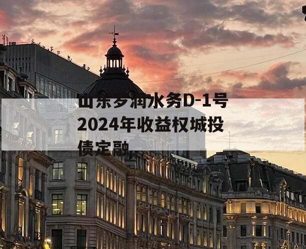 山东罗润水务D-1号2024年收益权城投债定融