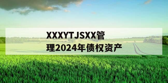 XXXYTJSXX管理2024年债权资产