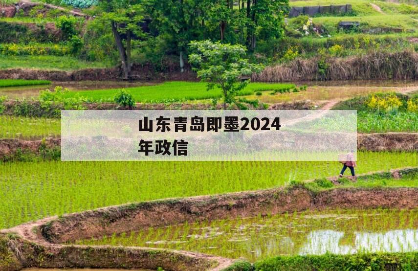 山东青岛即墨2024年政信