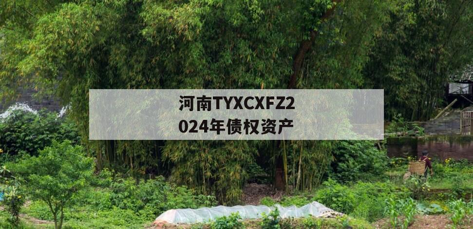 河南TYXCXFZ2024年债权资产