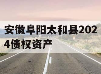 安徽阜阳太和县2024债权资产