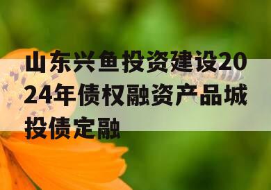 山东兴鱼投资建设2024年债权融资产品城投债定融