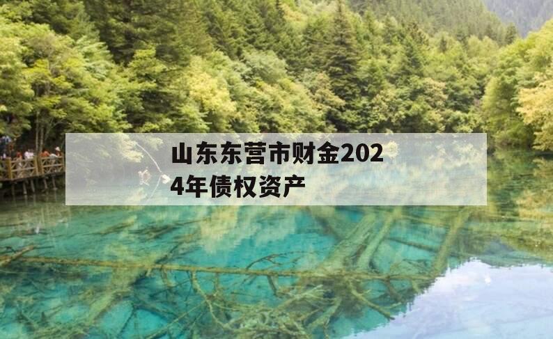 山东东营市财金2024年债权资产