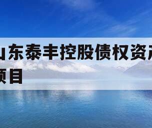 山东泰丰控股债权资产项目