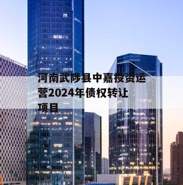 河南武陟县中嘉投资运营2024年债权转让项目