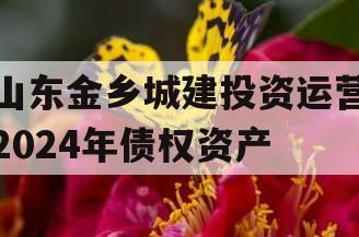 山东金乡城建投资运营2024年债权资产