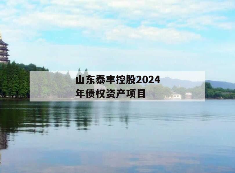 山东泰丰控股2024年债权资产项目