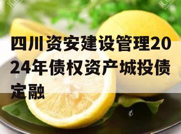 四川资安建设管理2024年债权资产城投债定融