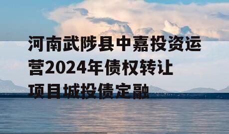 河南武陟县中嘉投资运营2024年债权转让项目城投债定融