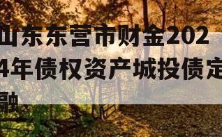 山东东营市财金2024年债权资产城投债定融