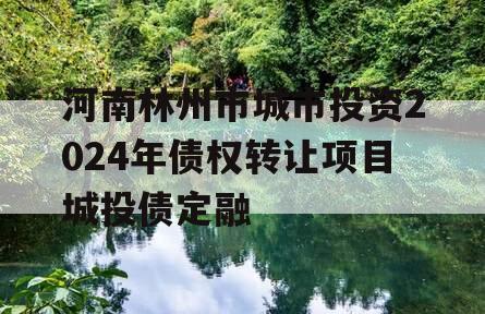 河南林州市城市投资2024年债权转让项目城投债定融