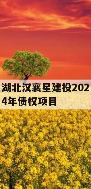 湖北汉襄星建投2024年债权项目