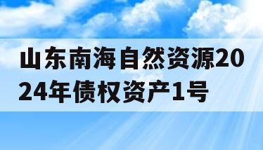 山东南海自然资源2024年债权资产1号