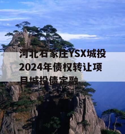 河北石家庄YSX城投2024年债权转让项目城投债定融